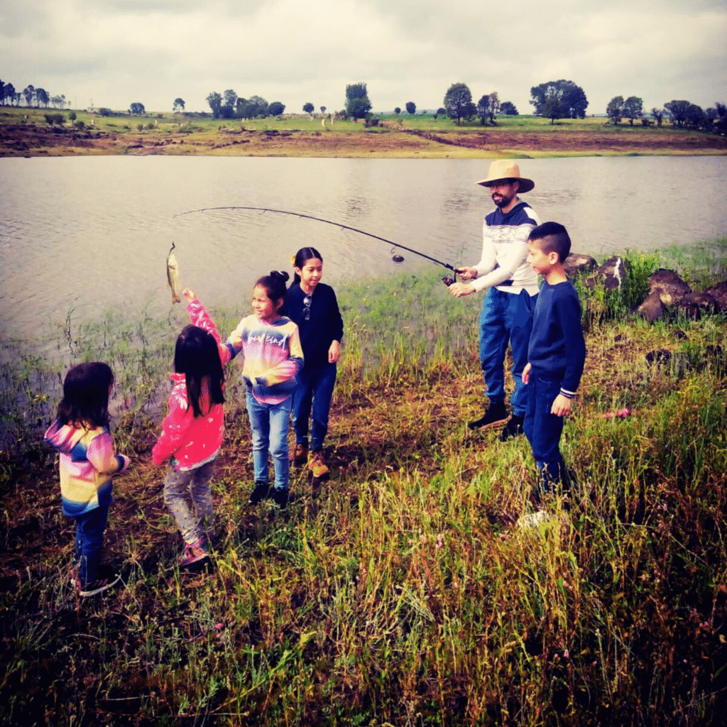 Comunidad Educación Viva