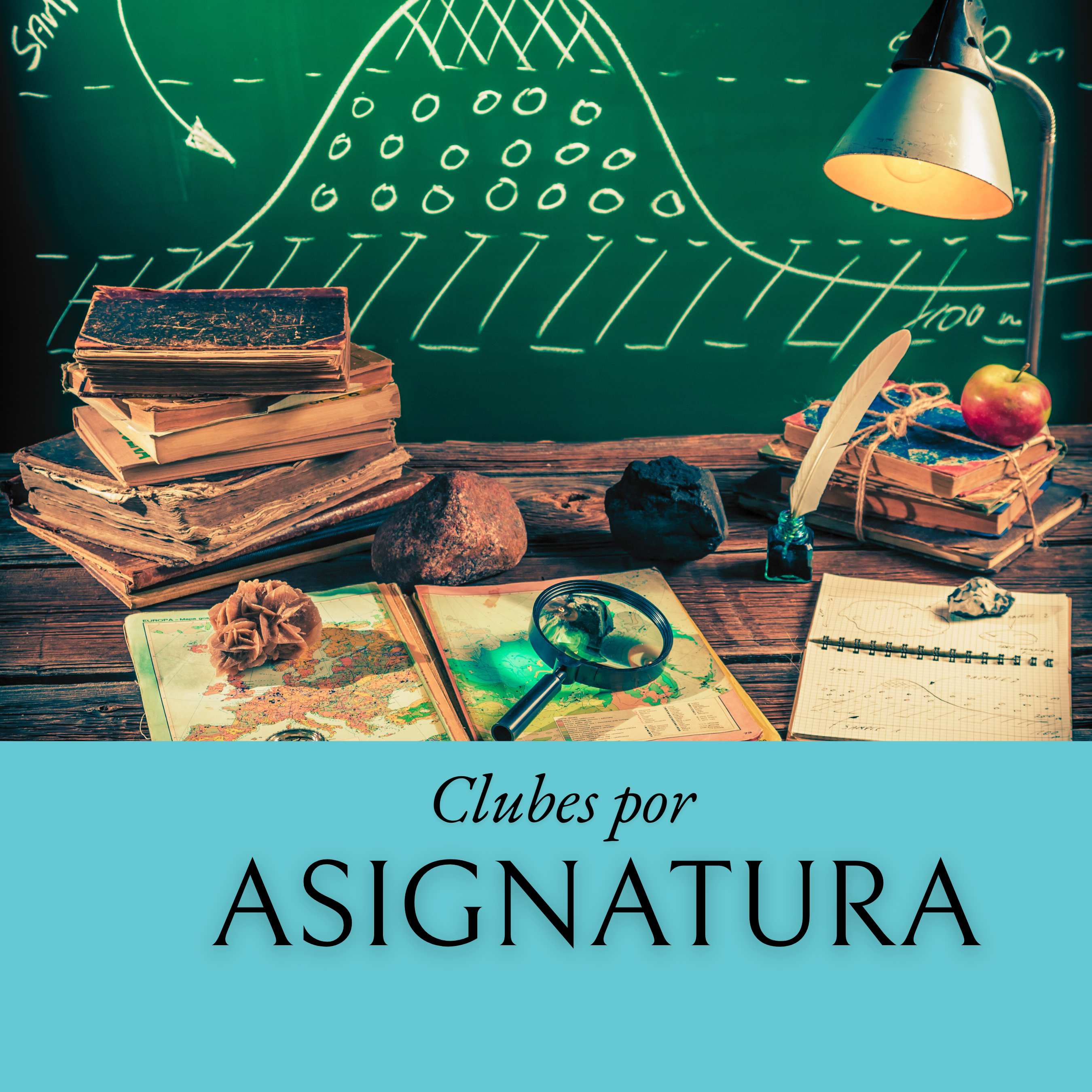 Educación Viva Plataforma