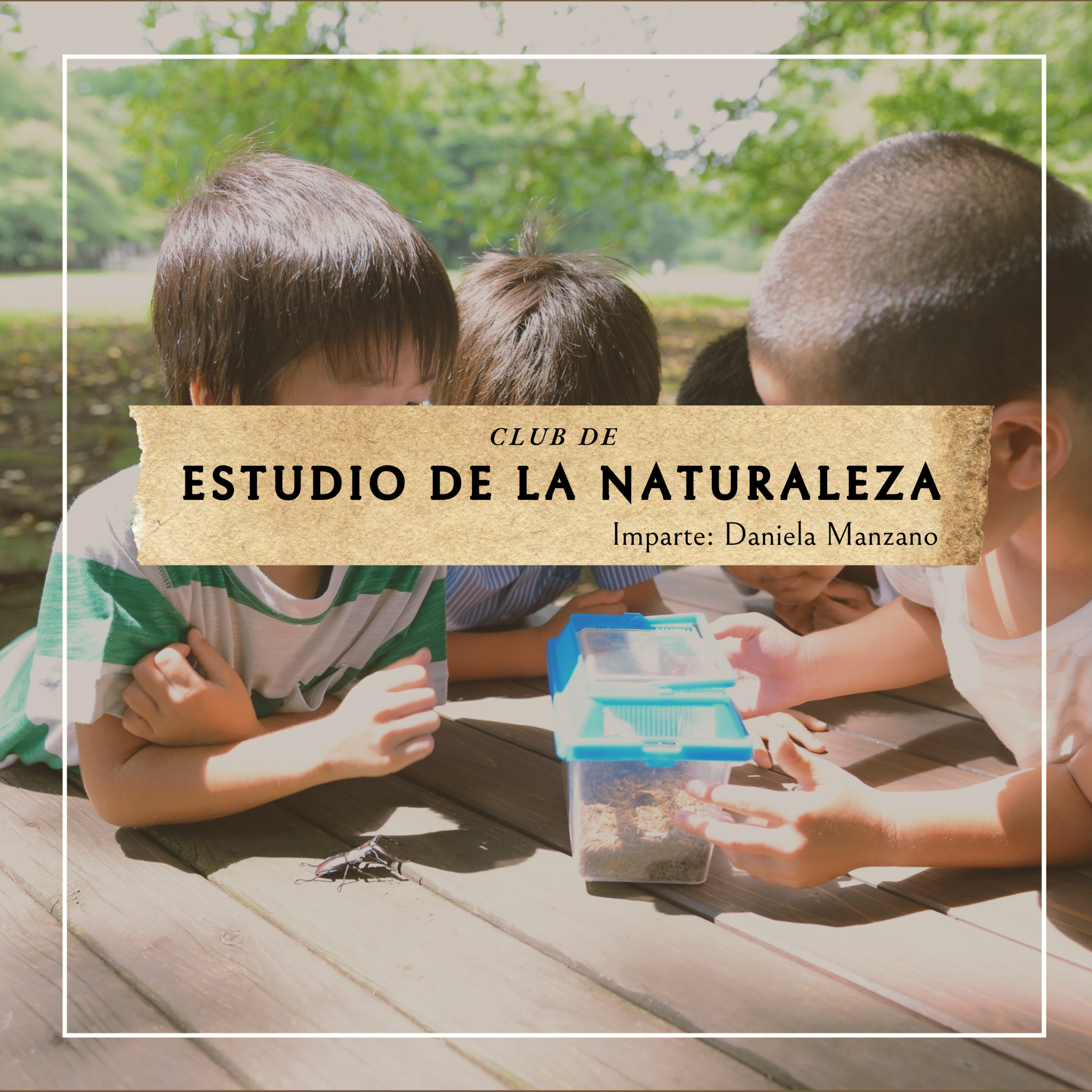 🌿 Club de Naturaleza