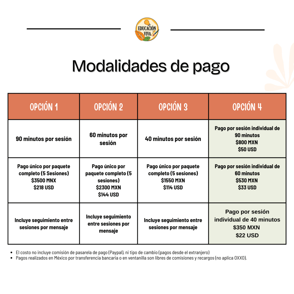 Acompañamiento en la Planificación Curricular