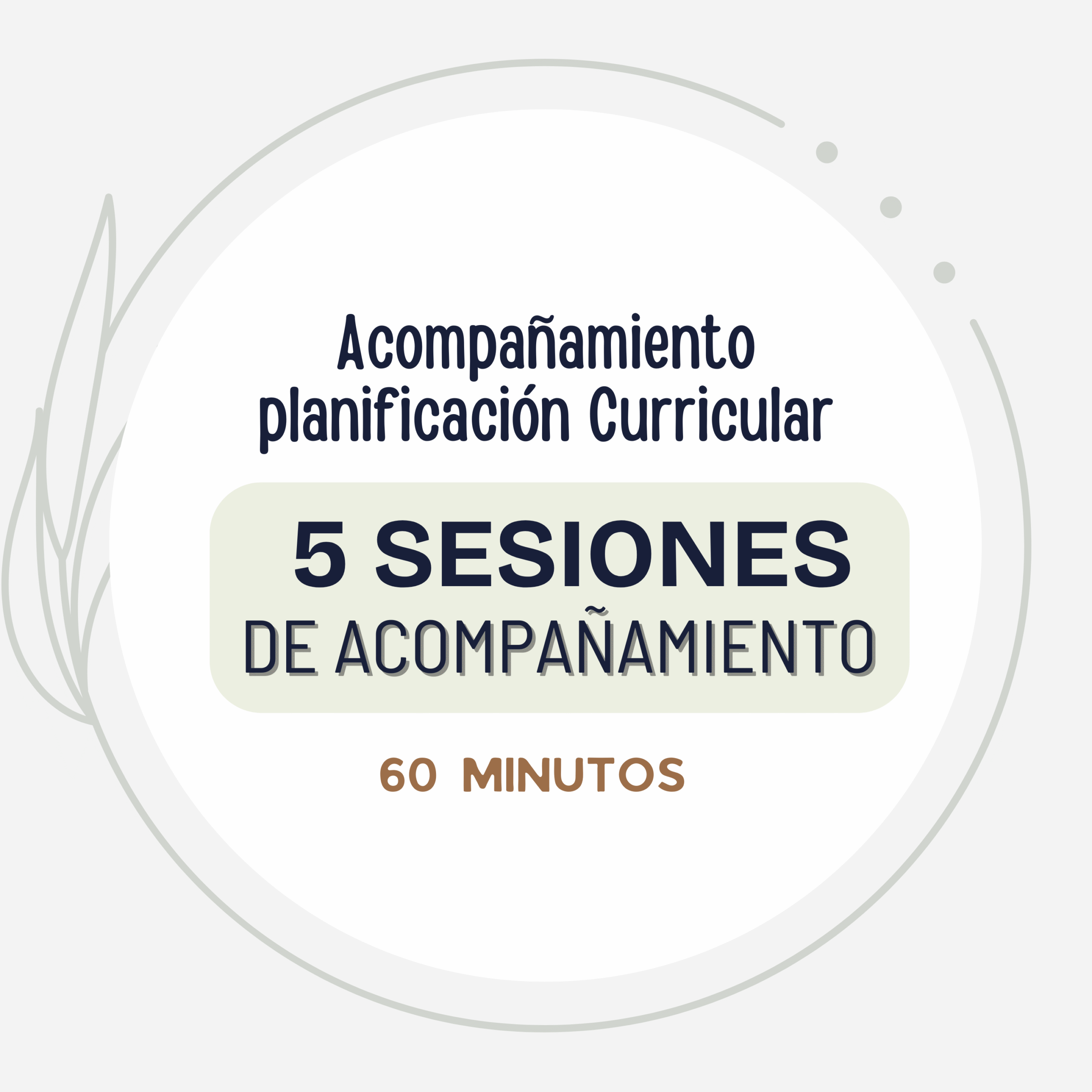 Acompañamiento en la Planificación Curricular