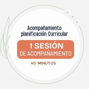 Acompañamiento en la Planificación Curricular