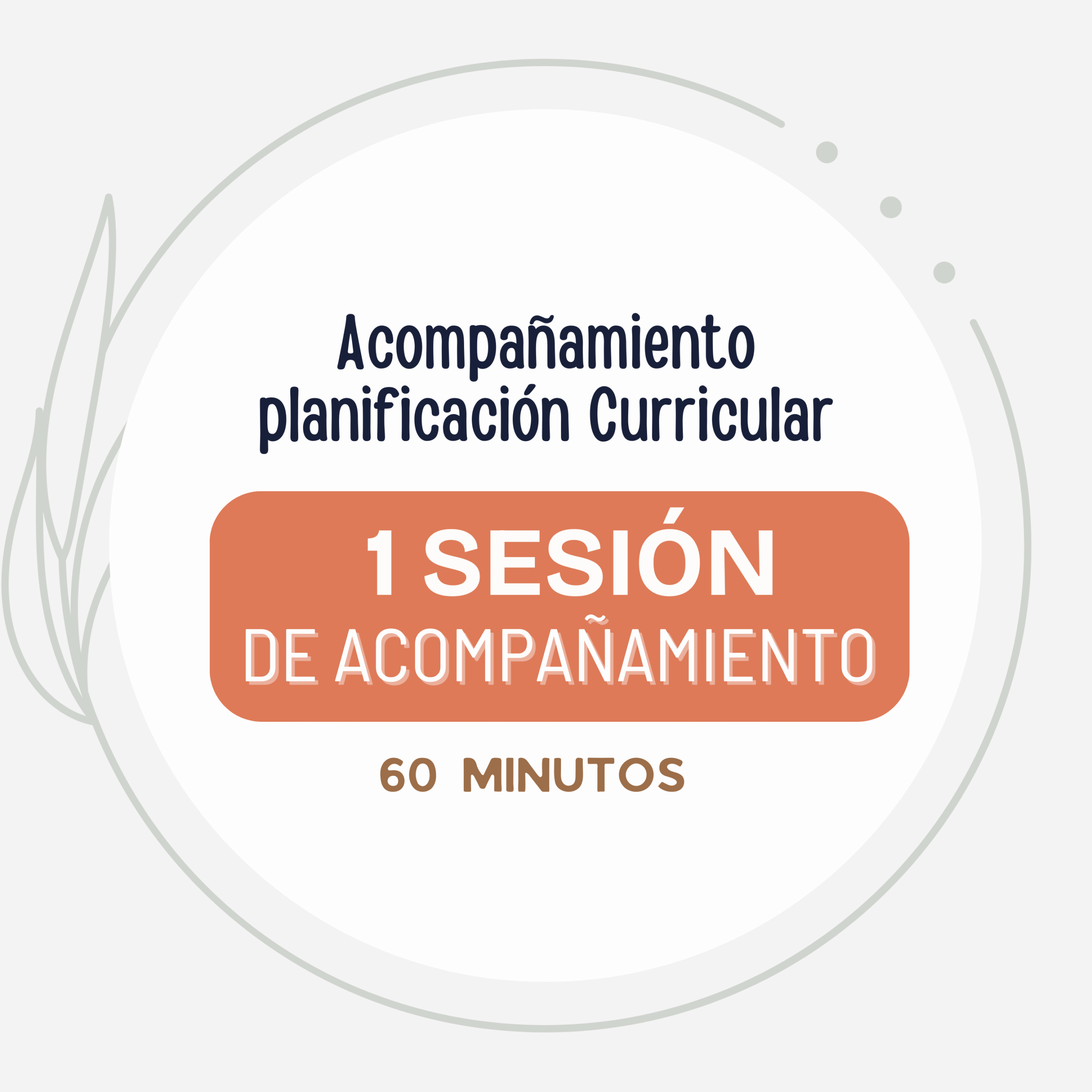 Acompañamiento en la Planificación Curricular