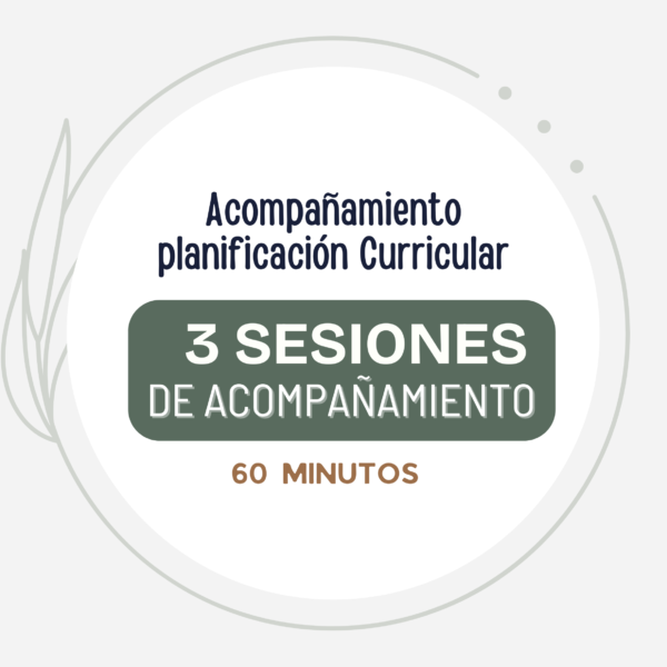 Acompañamiento en la Planificación Curricular