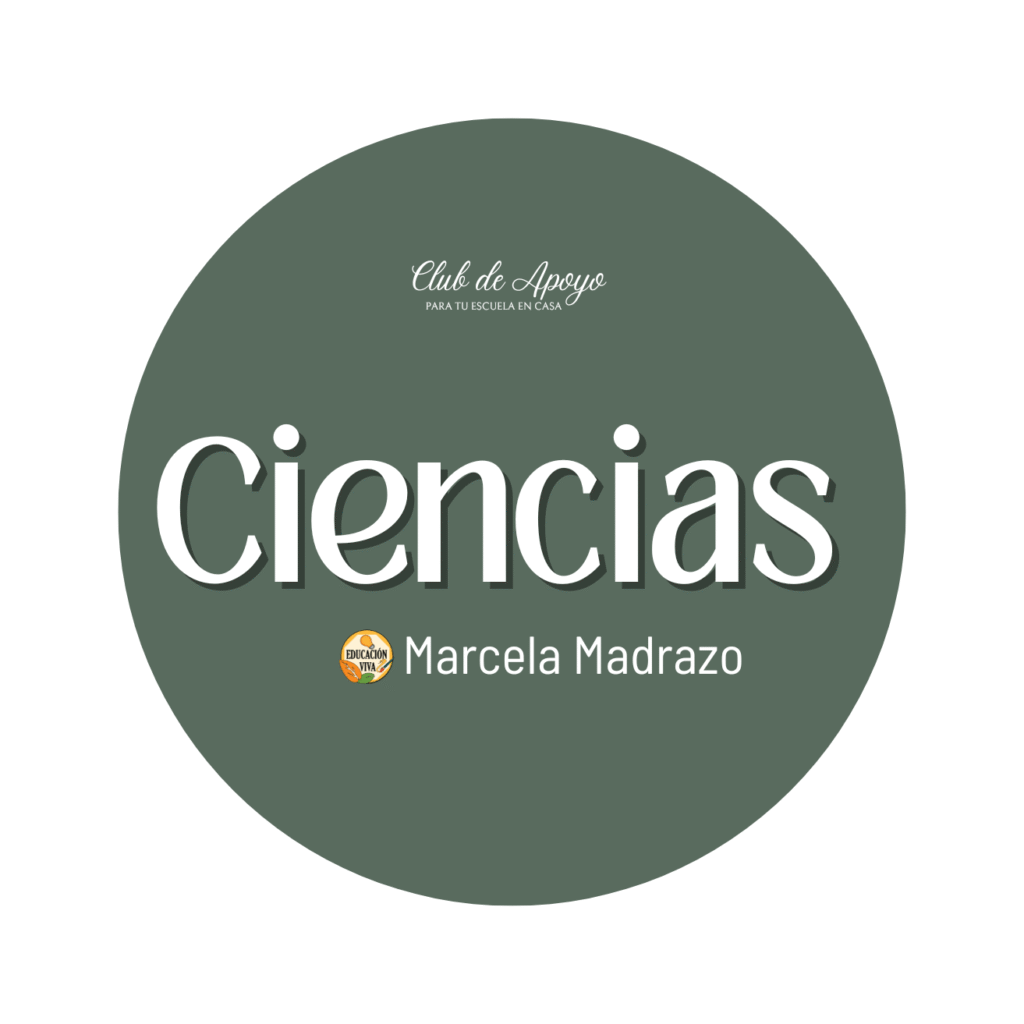 Club de ciencias para niños