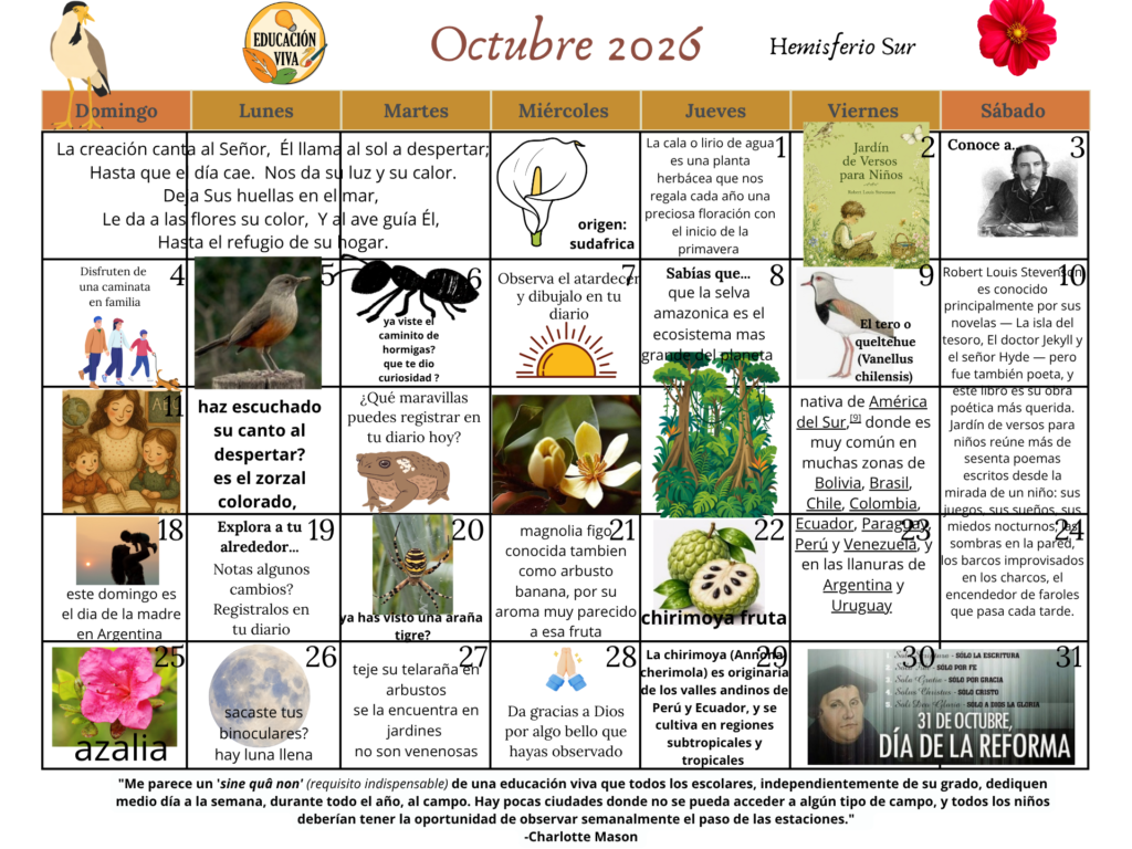 Calendario de observaciones Octubre